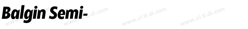 Balgin Semi字体转换 Balgin Semi字体转换